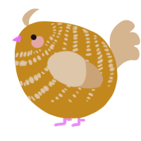 A ochre and beige chicken with a bar pattern