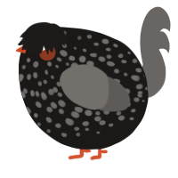 A sable and grey chicken with a speckle pattern