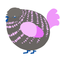 A grey and lavender chicken with a bar pattern