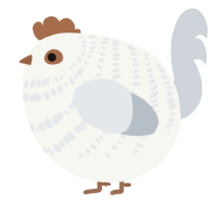 A white and mist chicken with a bar pattern