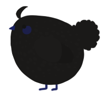 A sable chicken with a speckle pattern