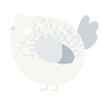 A white and mist chicken with a half-lace pattern