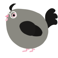 A ash and sable chicken