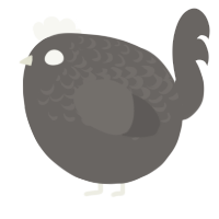 A grey chicken with a half-lace pattern