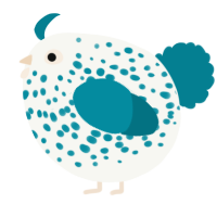 A white and sea chicken with a speckle pattern
