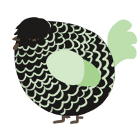 A sable and gluppy chicken with a lace pattern