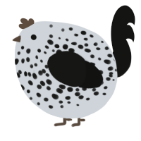 A mist and black chicken with a speckle pattern