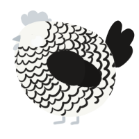 A white and sable chicken with a lace pattern
