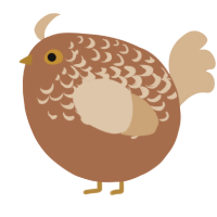 A brown and beige chicken with a half-lace pattern
