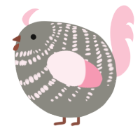 A ash and rose chicken with a bar pattern