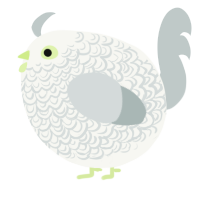 A white and silver chicken with a double-lace pattern
