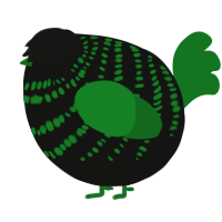 A black and leaf chicken with a bar pattern