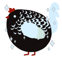 A black and white chicken with a half-lace pattern