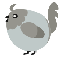 A silver and ash chicken with a head pattern