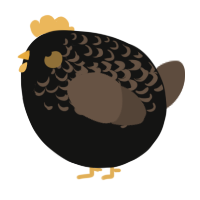 A black and bark chicken with a half-lace pattern