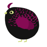 A black and wine chicken with a half-lace pattern