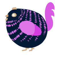 A tumblr and orchid chicken with a bar pattern