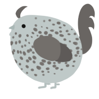 A silver and grey chicken with a speckle pattern