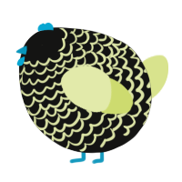 A black and lemon chicken with a lace pattern