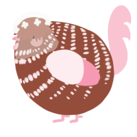 A russet and rose chicken with a bar pattern