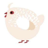 A cream chicken with a half-lace pattern