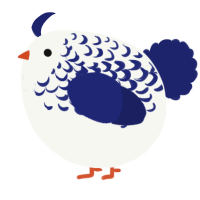 A white and navy chicken with a half-lace pattern