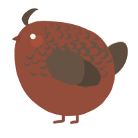 A russet and bark chicken with a half-lace pattern