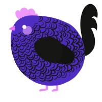 A indigo and black chicken with a double-lace pattern