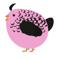 A pink and sable chicken with a half-lace pattern