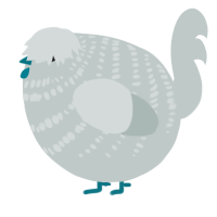 A silver chicken with a bar pattern