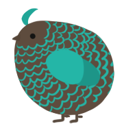 A bark and turquoise chicken with a lace pattern