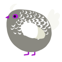 A ash and white chicken with a half-lace pattern