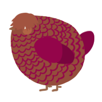 A russet and maroon chicken with a lace pattern