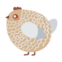 A beige and mist chicken with a lace pattern