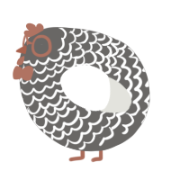 A grey and white chicken with a lace pattern
