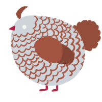 A mist and russet chicken with a lace pattern