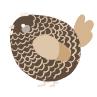 A bark and beige chicken with a lace pattern