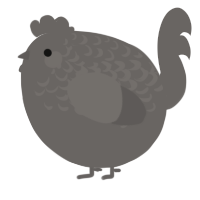 A grey chicken with a half-lace pattern
