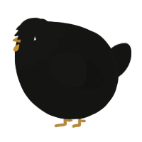 A black chicken with a head pattern