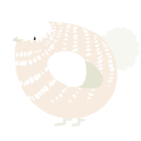 A cream and white chicken with a bar pattern