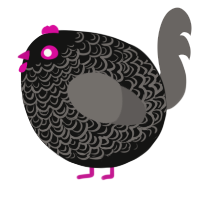 A black and grey chicken with a double-lace pattern
