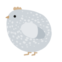 A mist chicken with a speckle pattern