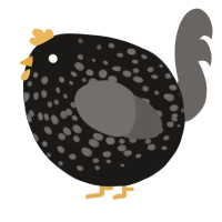 A sable and grey chicken with a speckle pattern