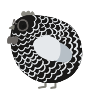 A sable and mist chicken with a lace pattern