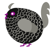 A black and ash chicken with a lace pattern