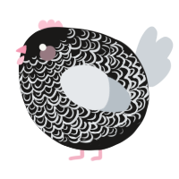 A sable and mist chicken with a double-lace pattern