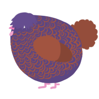 A overcast and russet chicken with a double-lace pattern