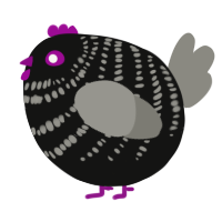 A black and ash chicken with a bar pattern