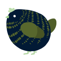 A tumblr and olive chicken with a bar pattern
