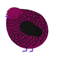A wine and black chicken with a lace pattern